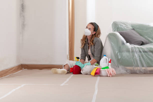Reliable Mold Remediation contractor in Michigan, MI by Cheap Mold Removal